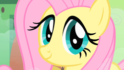 Size: 1280x720 | Tagged: safe, screencap, fluttershy, pegasus, pony, a bird in the hoof, close-up, cute, face of mercy, shyabetes, solo