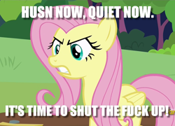 Size: 1050x755 | Tagged: safe, edit, edited screencap, screencap, fluttershy, pegasus, pony, fluttershy leans in, angry, caption, female, image macro, mare, solo, stfu, text, vulgar