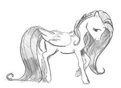 Size: 1280x929 | Tagged: safe, artist:spectralunicorn, fluttershy, pegasus, pony, female, folded wings, looking at you, mare, monochrome, profile, raised hoof, sketch, smiling, solo, traditional art, wings