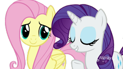 Size: 800x447 | Tagged: safe, editor:i-mlp2020, screencap, fluttershy, rarity, pegasus, pony, unicorn, background removed, discovery family logo, duo, female, simple background, transparent background