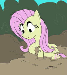 Size: 493x550 | Tagged: artist needed, source needed, safe, fluttershy, pegasus, pony, colored, female, mare, mud