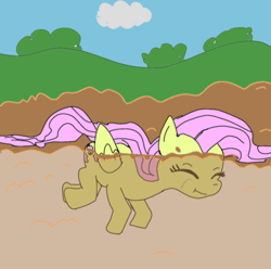 Size: 499x496 | Tagged: artist needed, source needed, safe, fluttershy, pegasus, pony, colored, female, mare, mud, solo