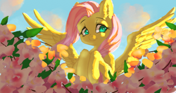 Size: 1280x680 | Tagged: safe, artist:鬼流, fluttershy, pegasus, pony, bust, cute, female, flower, hooves to the chest, looking at you, looking away, mare, shyabetes, smiling, solo, spread wings, wings