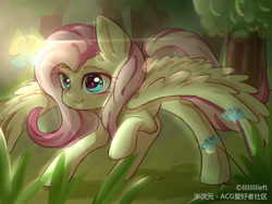 Size: 1032x775 | Tagged: safe, artist:llllllllleft, fluttershy, butterfly, pegasus, pony, cute, female, flower, grass, lens flare, looking at something, mare, outdoors, raised hoof, shyabetes, solo, spread wings, three quarter view, tree, wings