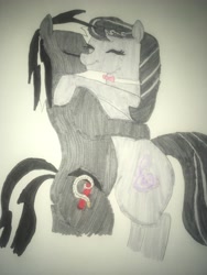 Size: 3024x4032 | Tagged: safe, artist:carlos324, octavia melody, oc, oc:free spirit, oc:spirit, earth pony, pony, background pony, canon x oc, hug, hugs and kisses, love, romance, traditional art