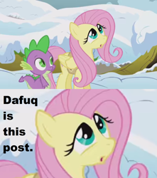 Size: 1360x1536 | Tagged: safe, edit, edited screencap, screencap, fluttershy, spike, dragon, pegasus, pony, winter wrap up, caption, dafuq, faic, female, image macro, looking up, mare, snow, text, vulgar, winter wrap up vest