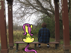 Size: 4000x3000 | Tagged: safe, fluttershy, human, bench, irl, irl human, nature, photo, tree