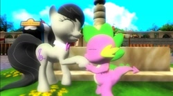 Size: 1024x575 | Tagged: safe, artist:undeadponysoldier, octavia melody, spike, dragon, earth pony, pony, 3d, bowtie, collar, cute, female, fountain, gmod, happy, holding hoof, kissing, kissing hoof, male, mare, millenial fair, pleased, shipping, smiling, spiketavia, straight, tent