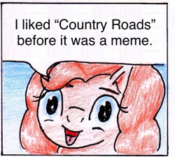 Size: 887x793 | Tagged: safe, artist:40kponyguy, derpibooru exclusive, edit, pinkie pie, earth pony, pony, 40kponyguy pinkie pie meme, exploitable meme, face of mercy, looking at you, meme, solo, take me home country roads, traditional art