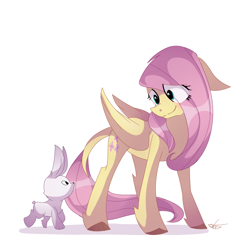 Size: 1500x1500 | Tagged: safe, artist:dddreamdraw, fluttershy, pegasus, pony, rabbit, cloven hooves, colored hooves, cute, eye clipping through hair, female, floppy ears, folded wings, leg fluff, leonine tail, looking at each other, looking down, mare, shyabetes, signature, simple background, smiling, standing, white background, wings