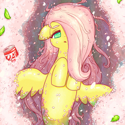 Size: 2067x2067 | Tagged: safe, artist:sigpi, fluttershy, mermaid, merpony, seapony (g4), cherry blossoms, coke, female, flower, flower blossom, hair over one eye, leaves, looking at you, mermaidized, open mouth, seaponified, seapony fluttershy, soda, soda can, solo, species swap, spread wings, spring, water, wings