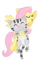 Size: 480x700 | Tagged: safe, artist:aniamalman, fluttershy, cat, pegasus, pony, simple background, transparent background, vector