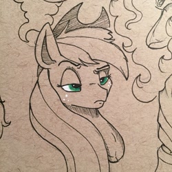 Size: 1280x1280 | Tagged: safe, artist:greyscaleart, part of a set, applejack, earth pony, pony, bust, close-up, female, lidded eyes, mare, monochrome, neo noir, partial color, raised eyebrow, solo, traditional art