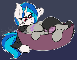 Size: 614x480 | Tagged: safe, artist:llametsul, dj pon-3, octavia melody, vinyl scratch, earth pony, pony, unicorn, accessory theft, angry, annoyed, basket, behaving like a cat, cute, cutie mark, duo, ear fluff, eyes closed, female, glasses, horn, madorable, mare, scrunchy face, signature, simple background, sleeping, underhoof, upset, vinyl's glasses