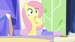 Size: 852x478 | Tagged: safe, screencap, fluttershy, pegasus, pony, sparkle's seven, discovery family logo, solo, surprised, throne room, twilight's castle