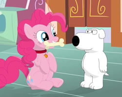 Size: 1001x798 | Tagged: safe, artist:porygon2z, pinkie pie, pony, behaving like a dog, bone, brian griffin, cute, diapinkes, family guy, implied pet play, pet play, silly, silly pony