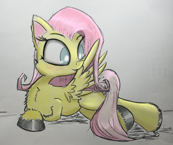 Size: 1278x1075 | Tagged: safe, artist:aeropegasus, artist:chopsticks, fluttershy, pegasus, pony, chest fluff, cute, digital art, female, hoof fluff, mare, preening, shyabetes, traditional art