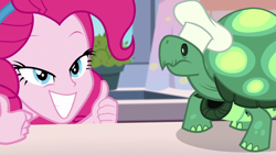 Size: 1920x1080 | Tagged: safe, screencap, pinkie pie, tank, tortoise, better together, equestria girls, the craft of cookies, clothes, grin, hat, smiling, thumbs up