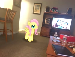 Size: 4032x3024 | Tagged: safe, photographer:undeadponysoldier, fluttershy, pegasus, pony, bust, dvd player, flatscreen, game, gameloft, irl, photo, ponies in real life, portrait, shoe box, speakers, television, watching tv, water bottle