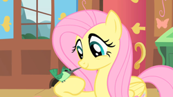 Size: 1280x720 | Tagged: safe, screencap, fluttershy, hummingway, hummingbird, pegasus, pony, a bird in the hoof, cute, shyabetes, solo