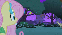 Size: 1280x720 | Tagged: safe, screencap, fluttershy, bird, keel-billed toucan, monkey, pegasus, pony, spider monkey, toucan, wallaby, wallaroo, the best night ever, apple tree, canterlot gardens, female, mare, tree