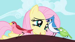 Size: 1280x720 | Tagged: safe, screencap, fluttershy, bird, blue jay, pegasus, pony, friendship is magic, female, mare, songbird