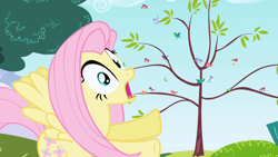 Size: 1280x720 | Tagged: safe, screencap, fluttershy, bird, pegasus, pony, friendship is magic