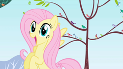 Size: 1280x720 | Tagged: safe, screencap, constance, fluttershy, bird, blue jay, pegasus, pony, friendship is magic, female, flying, mare