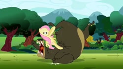 Size: 1280x720 | Tagged: safe, screencap, fluttershy, harry, bear, pegasus, pony, lesson zero