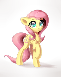 Size: 1500x1900 | Tagged: safe, artist:ifmsoul, fluttershy, pegasus, pony, cheek fluff, chest fluff, cute, daaaaaaaaaaaw, ear fluff, female, folded wings, hnnng, leg fluff, mare, raised hoof, shyabetes, simple background, solo, standing, three quarter view, white background, wings