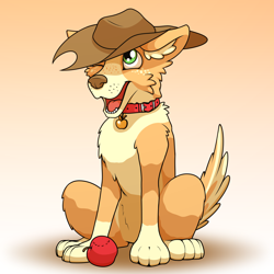 Size: 2000x2000 | Tagged: safe, artist:ohemo, applejack, dog, apple, applejack's hat, atg 2018, collar, cowboy hat, dogified, food, hat, newbie artist training grounds, solo, species swap, stetson