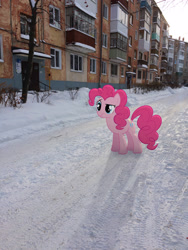 Size: 2448x3264 | Tagged: safe, artist:albertuha, pinkie pie, pony, irl, photo, ponies in real life, russia, snow, solo, winter