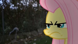 Size: 1280x720 | Tagged: safe, fluttershy, flamingo, pony, angry, fluttershy is not amused, forest, irl, photo, ponies in real life, solo, unamused