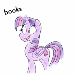 Size: 595x591 | Tagged: safe, artist:zigragirl, twilight sparkle, twilight sparkle (alicorn), alicorn, pony, book, bookhorse, digital art, female, mare, simple background, solo, that pony sure does love books, white background