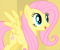 Size: 750x620 | Tagged: safe, screencap, fluttershy, pegasus, pony, green isn't your color, cropped, solo