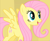 Size: 750x620 | Tagged: safe, screencap, fluttershy, pegasus, pony, green isn't your color, cropped, solo