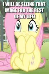 Size: 474x709 | Tagged: safe, edit, edited screencap, screencap, fluttershy, pegasus, pony, filli vanilli, cannot unsee, caption, cropped, cute, female, i've seen some shit, image macro, mare, reaction image, scared, scarred for life, shyabetes, solo, text, traumatized, what has been seen