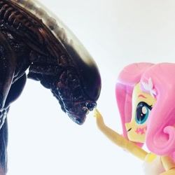 Size: 960x960 | Tagged: safe, fluttershy, alien, equestria girls, doll, equestria girls minis, eqventures of the minis, neca, this will end in tears, toy, xenomorph