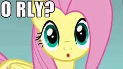 Size: 300x168 | Tagged: safe, edit, edited screencap, screencap, fluttershy, pegasus, pony, dragonshy, cute, female, meme, o rly, reaction image, solo, text