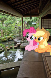 Size: 564x847 | Tagged: safe, editor:lisaloudleijon, applejack, pinkie pie, earth pony, pony, applepie, female, japan, lesbian, real life background, shipping