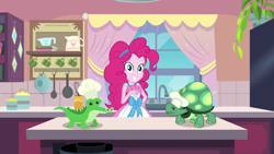 Size: 1920x1080 | Tagged: safe, screencap, gummy, pinkie pie, tank, turtle, better together, equestria girls, the craft of cookies, chef's hat, cute, diapinkes, hat, kitchen, smiling