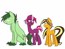 Size: 2048x1536 | Tagged: safe, artist:periwinkietwinkie, oc, oc only, oc:honeycrisp, oc:jonagold, oc:melrose, dracony, earth pony, hybrid, pony, female, interspecies offspring, mare, offspring, parent:apple bloom, parent:applejack, parent:big macintosh, parent:caramel, parent:cheerilee, parent:spike, parents:carajack, parents:cheerimac, parents:spikebloom, simple background, white background