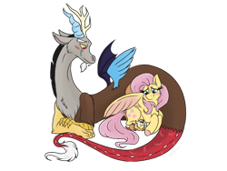 Size: 1024x768 | Tagged: safe, artist:emz2015, discord, fluttershy, oc, oc:sweet disarray, draconequus, hybrid, pegasus, pony, blushing, discoshy, draconequus oc, explicit source, family, female, floppy ears, interspecies offspring, male, mare, offspring, parent:discord, parent:fluttershy, parents:discoshy, prone, shipping, simple background, sleeping, smiling, spread wings, straight, transparent background, wings