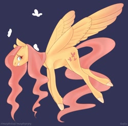 Size: 1280x1259 | Tagged: safe, artist:maybepopy, fluttershy, butterfly, pegasus, pony, blue background, butt fluff, colored hooves, cute, dark background, ear fluff, female, leg fluff, mare, profile, shyabetes, simple background, solo, spread wings, wings