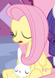 Size: 567x806 | Tagged: safe, screencap, angel bunny, fluttershy, rarity, pegasus, pony, unicorn, she's all yak, cropped, eyes closed, sleeping, solo focus, underhoof