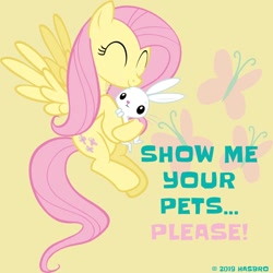 Size: 960x960 | Tagged: safe, angel bunny, fluttershy, pegasus, pony, cuddling, facebook, fluttershy month, flying, official, pet, smiling