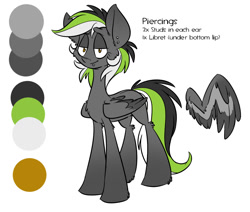 Size: 1301x1102 | Tagged: safe, artist:kez, oc, oc only, oc:graphite sketch, pegasus, pony, female, mare, reference sheet, simple background, solo, white background