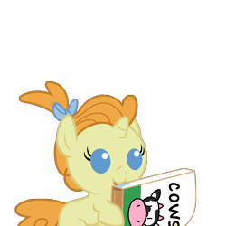 Size: 1600x1600 | Tagged: safe, artist:beavernator, pumpkin cake, pony, baby, baby pony, book, drool, nerd, simple background, solo, transparent background, vector