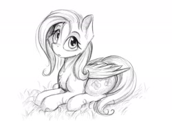 Size: 2048x1536 | Tagged: safe, artist:alcor, fluttershy, pegasus, pony, cute, female, mare, monochrome, prone, shyabetes, solo