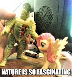 Size: 500x531 | Tagged: safe, artist:dex stewart, fluttershy, pegasus, pony, bandai, captioned, exploitable meme, invenusable flytrap, meme, mighty morphin power rangers, nature is so fascinating, obligatory pony, photo, power rangers, toy